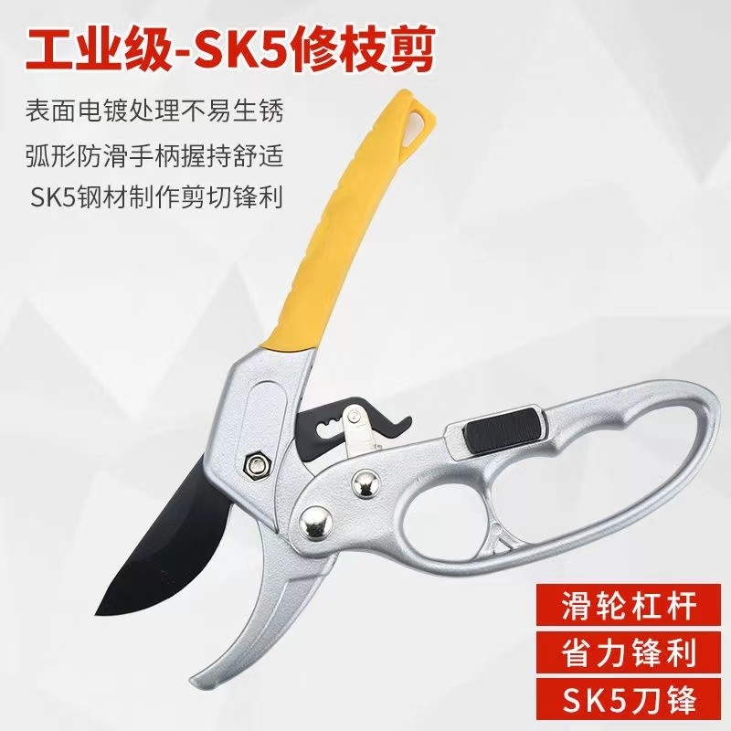 桃園有貨 果樹修枝剪刀分段式專業省力園藝修剪樹枝園林修花枝剪粗枝剪子 8Z3G | 蝦皮購物