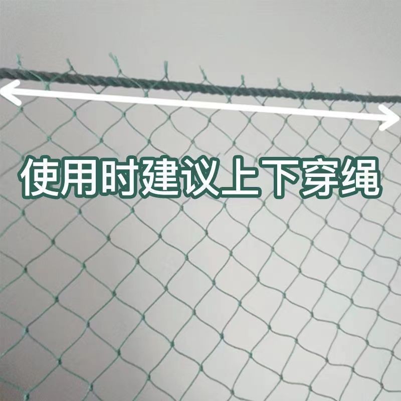 養殖網 防雞網 家禽養雞網 欄雞網 菜園網 圍山雞網 養鷄網攔鷄網家禽養殖網圍鷄網菜園圍欄網尼龍網防護網頂網山鷄網 | 蝦皮購物