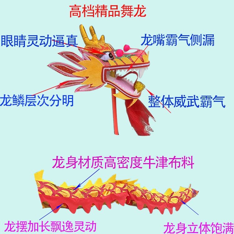 舞龍 舞獅 道具 兒童 龍頭 九節龍 幼兒園 舞臺錶演 兒童錶演 演出裝扮道具 民俗技藝 舞龍舞獅道具兒童龍頭九節龍幼兒 | 蝦皮購物