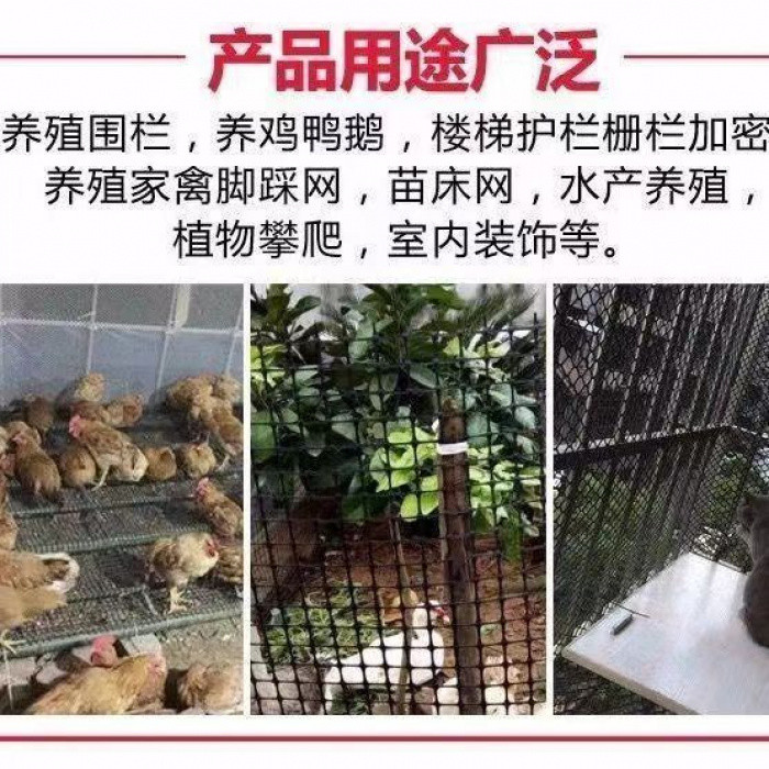 【新店福利價】養鷄圍欄 家禽養雞網 欄雞網 養殖網 菜園網 圍山雞網 防雞網 圍欄網 尼龍網 農用圍地網 家禽圍欄 塑料 | 蝦皮購物