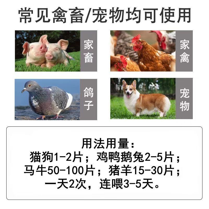 何超記 大黃蘇打/片寵物通用 貓/狗/積挑食厭食/促進/消化/開胃健脾/瀉火/通便 ARJL | 蝦皮購物
