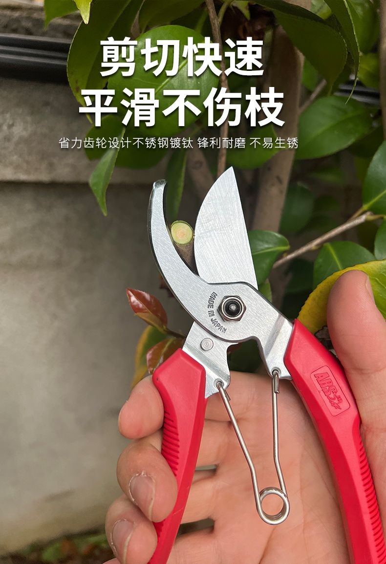 可開發票ARS 120DX 修枝剪果樹粗枝剪園林剪枝剪 剪刀 園藝剪刀 花剪 剪定鋏 樹枝剪 果樹剪 採果剪 專業修枝剪 | 蝦皮購物