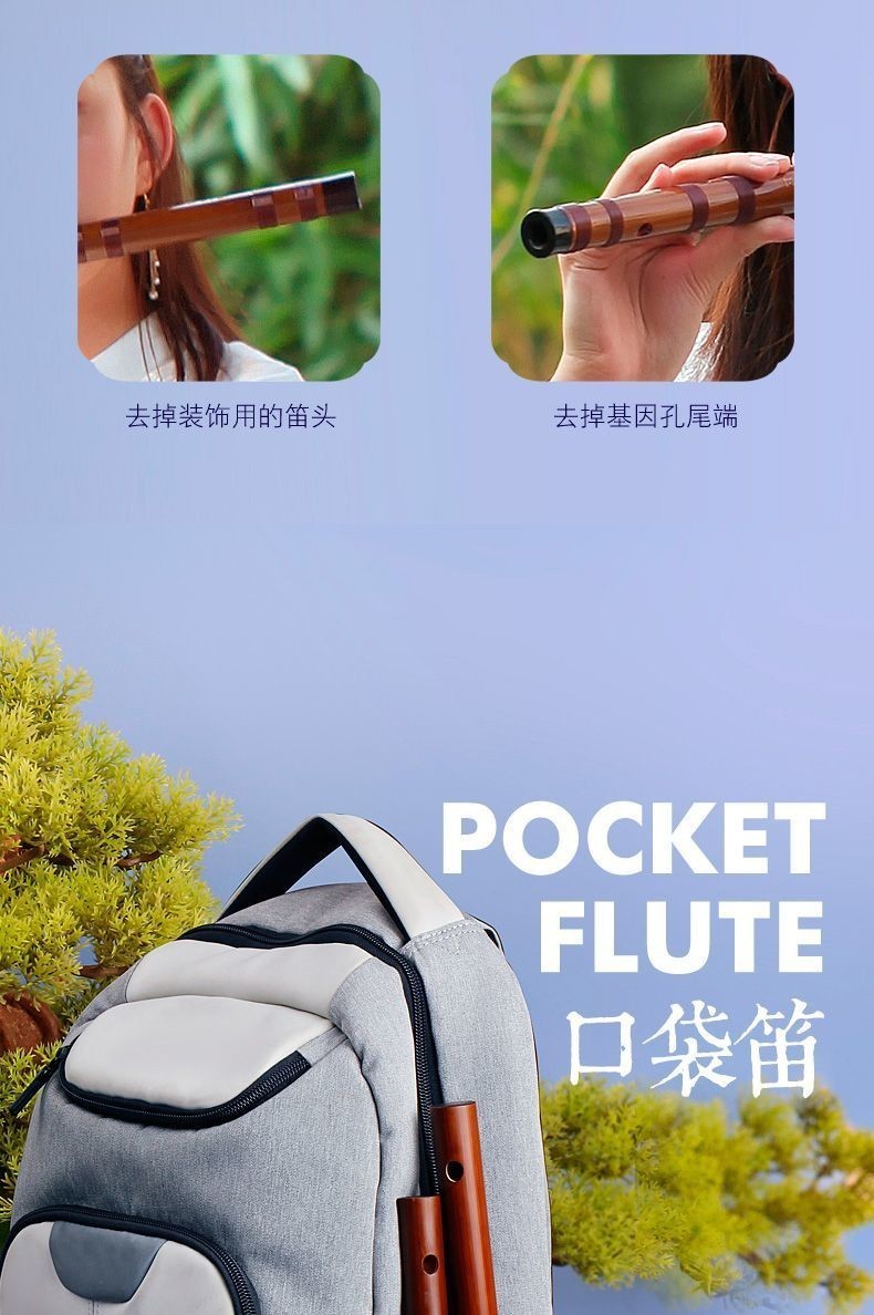 【免運費】【小巧音質佳】精選短笛高品質無膜孔竹笛初學入門零基礎方便攜帶演奏笛子好上手 | 蝦皮購物