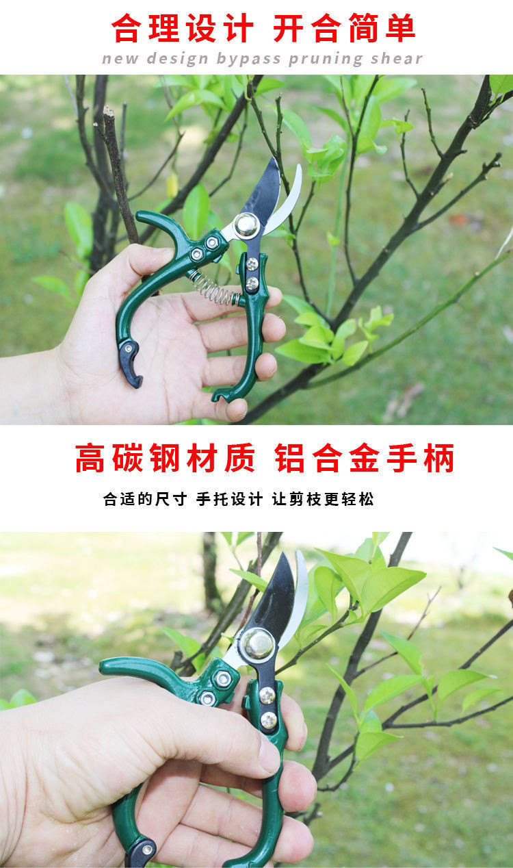 【1856人好評】修枝剪子葡萄摘果剪 園林果樹剪刀粗枝花剪 省力樹枝修花園藝剪刀AYNJ | 蝦皮購物