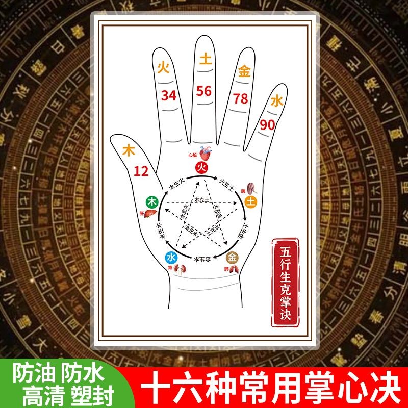 易經 八字 卦象 五行八卦 風水卡牌 禪卡 佔蔔 週易六爻八卦16掌心訣天幹地支八卦奇門大全卡片快速對照記憶錶 SRBB | 蝦皮購物
