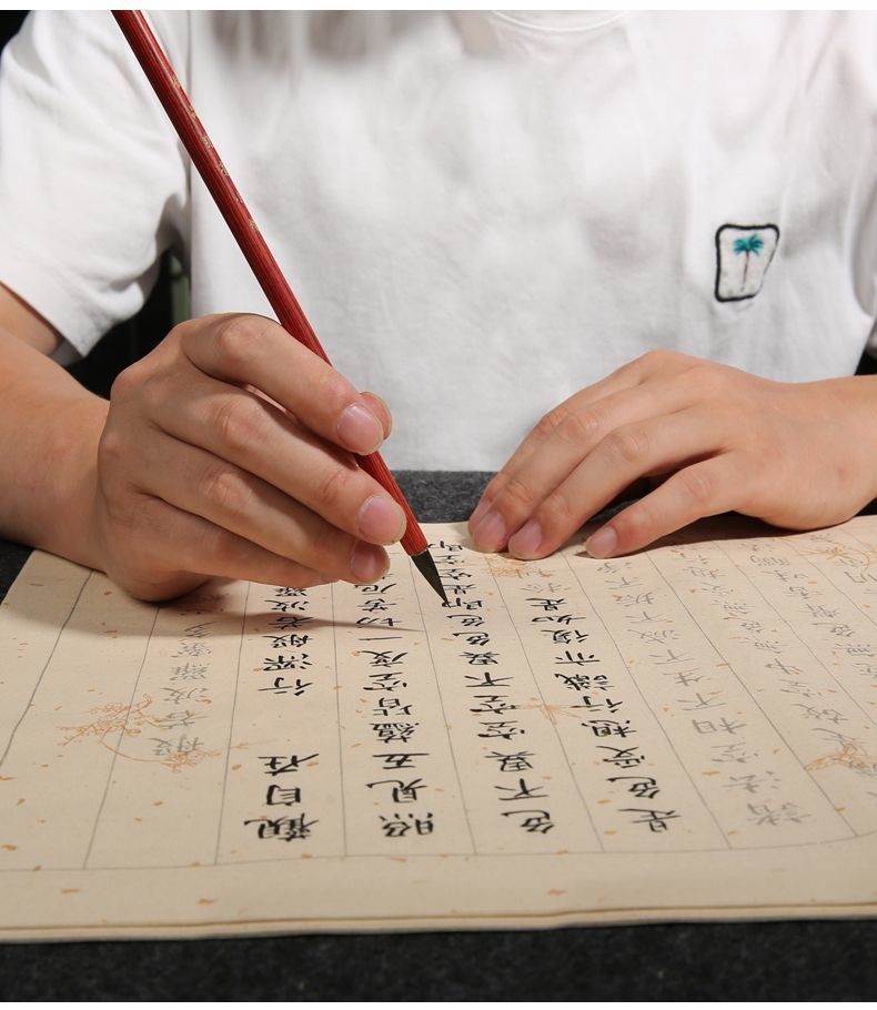 心經小楷字帖 手抄佛經文 金剛經毛筆小楷 大悲咒 地藏經小楷字帖 楞嚴咒 臨摹小楷毛筆字帖 靜心抄寫 小楷書法 毛筆字帖 | 蝦皮購物
