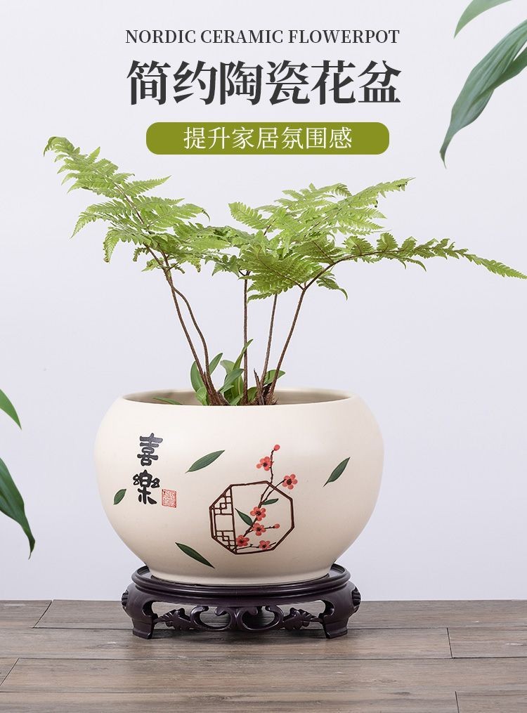 陶瓷花盆 瓷盆 北歐仿瓷水泥盆 水泥花盆 花盆 盆栽容器 盆器 樹盆栽 盆栽 大號 陶瓷盆栽 塑膠盆 大花盆 盆 | 蝦皮購物