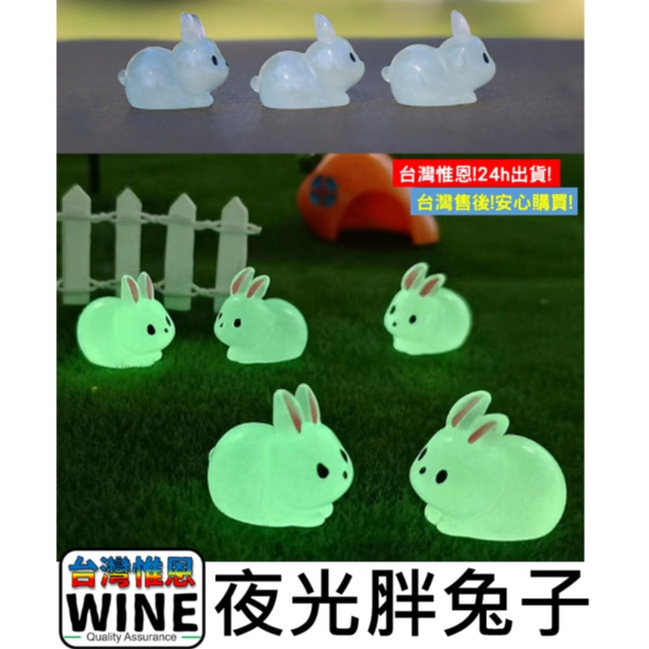 WINE台灣惟恩 微景觀 夜光胖兔子 夜光兔子 兔子 兔 胖兔子 夜光 園藝 室內佈置 | 蝦皮購物