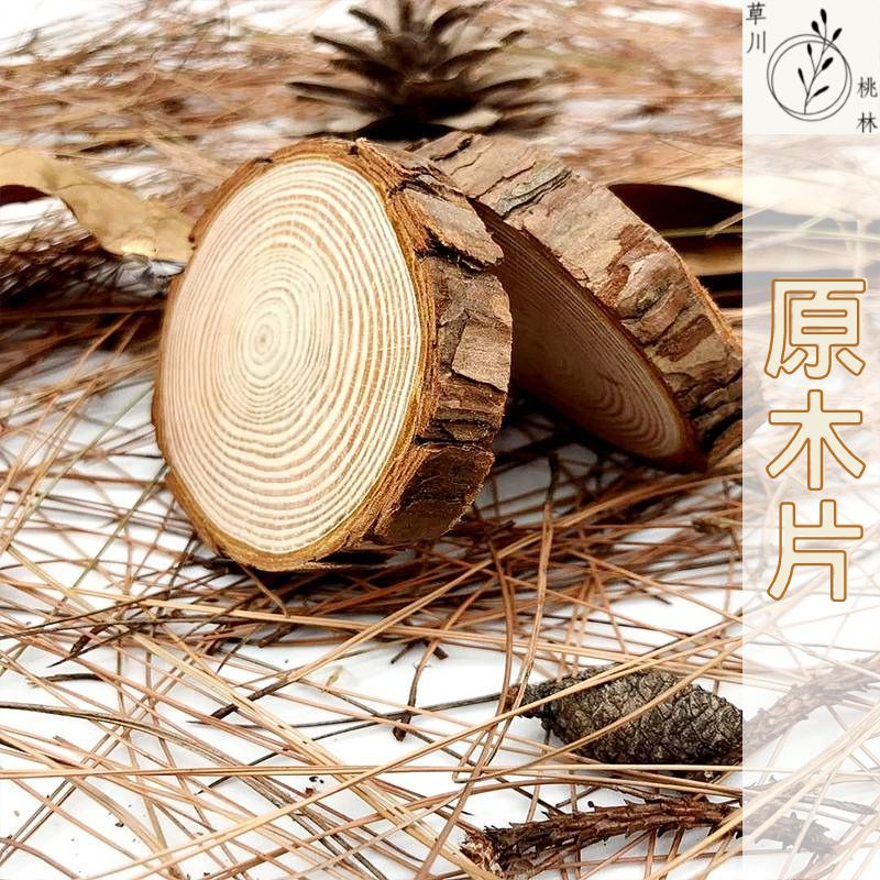 🌿草川桃林🌿台灣現貨-原木片🌿木頭 木片 拍照道具 裝飾 木座 微景觀 松木片 木杯墊 杯墊 天然木片 公仔底座 隔熱墊 | 蝦皮購物