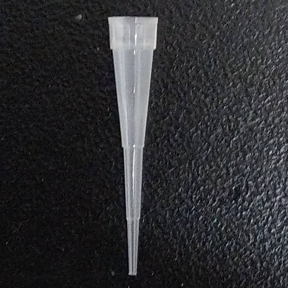 10ul 微量滴管尖 吸管尖 1000支/包 200ul 黃色滴管尖 tip | 蝦皮購物