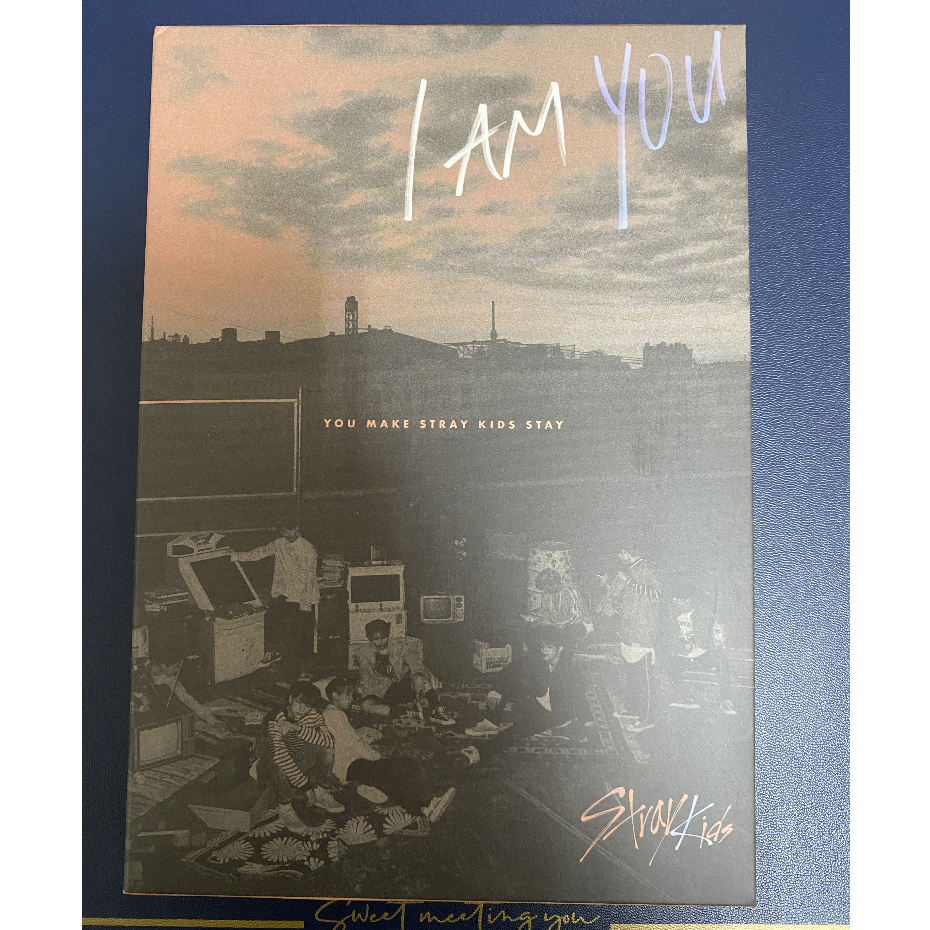 STRAY KIDS I AM YOU SPECIAL EDITION (台灣獨占精華盤CD+DVD) 徐彰彬小卡