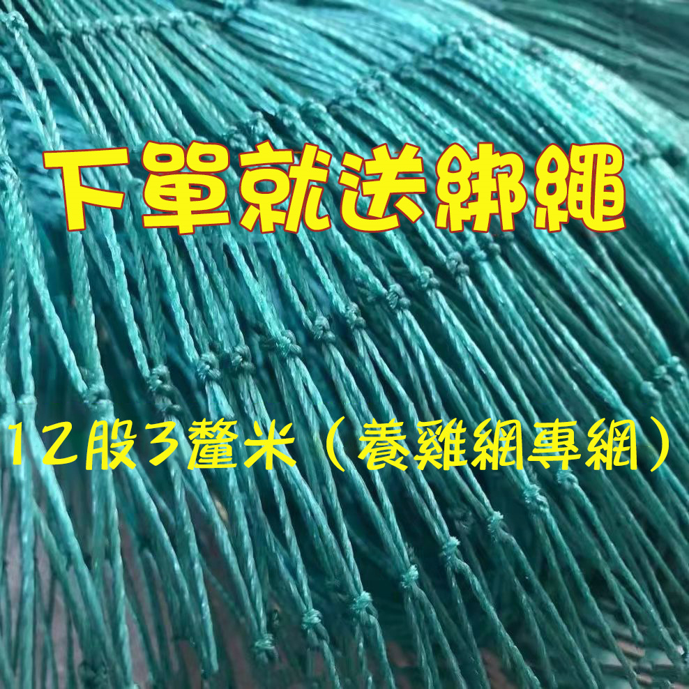 【銳誠】家禽養雞網 菜園網 圍網 欄雞網 山雞防雞網欄 雞鴨網 | 蝦皮購物