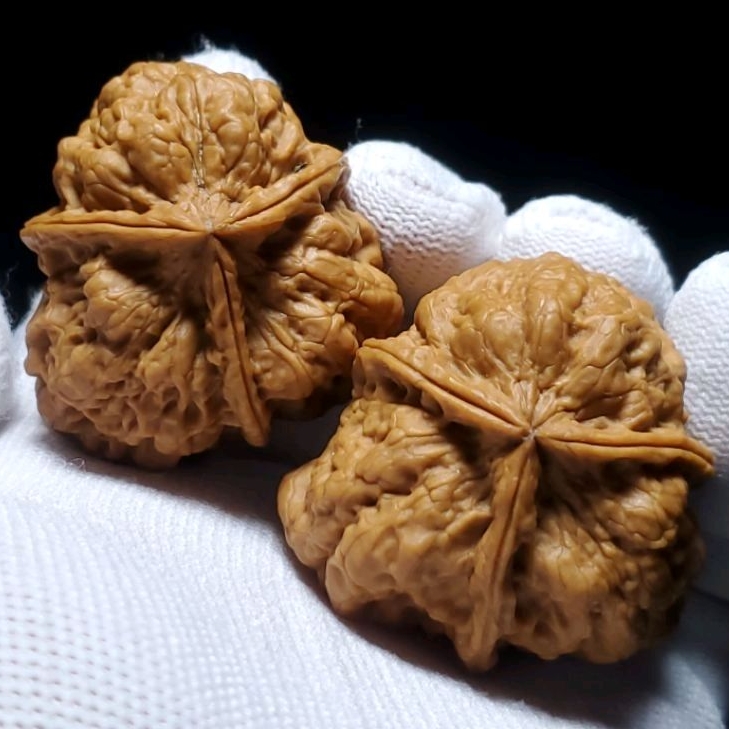 蟾王十八包] 42mm三稜對－雲南鐵核桃－現貨/文玩核桃/舒壓保健/收藏