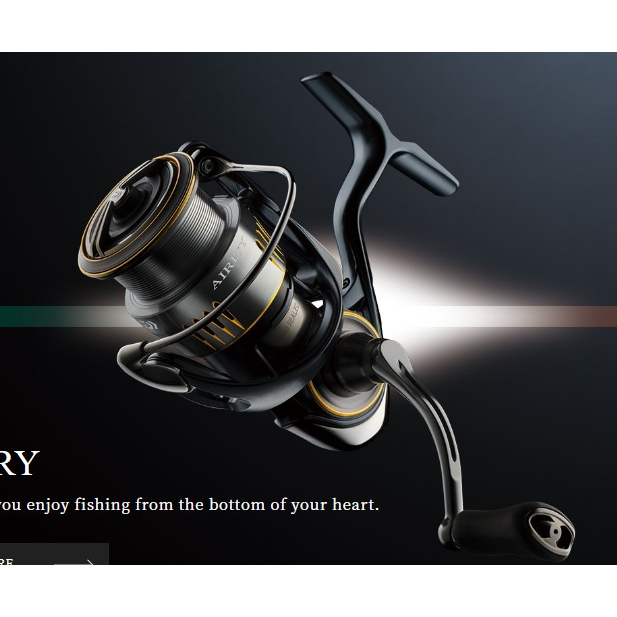 Daiwa 23'AIRITY 各類LT2000/2500/PC LT2500/3000/4000/5000/P/H
