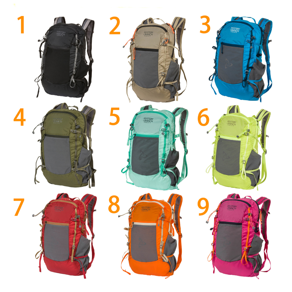 Mystery Ranch In and Out 19 Backpack