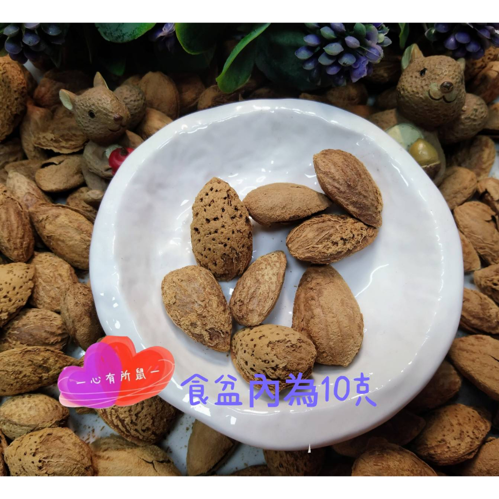 一心有所鼠一帶殼杏仁果(巴旦木) 杏仁果條 南瓜子仁 葵瓜子仁 無調味去殼堅果(圖片範例圍10克) 松果仁 | 蝦皮購物