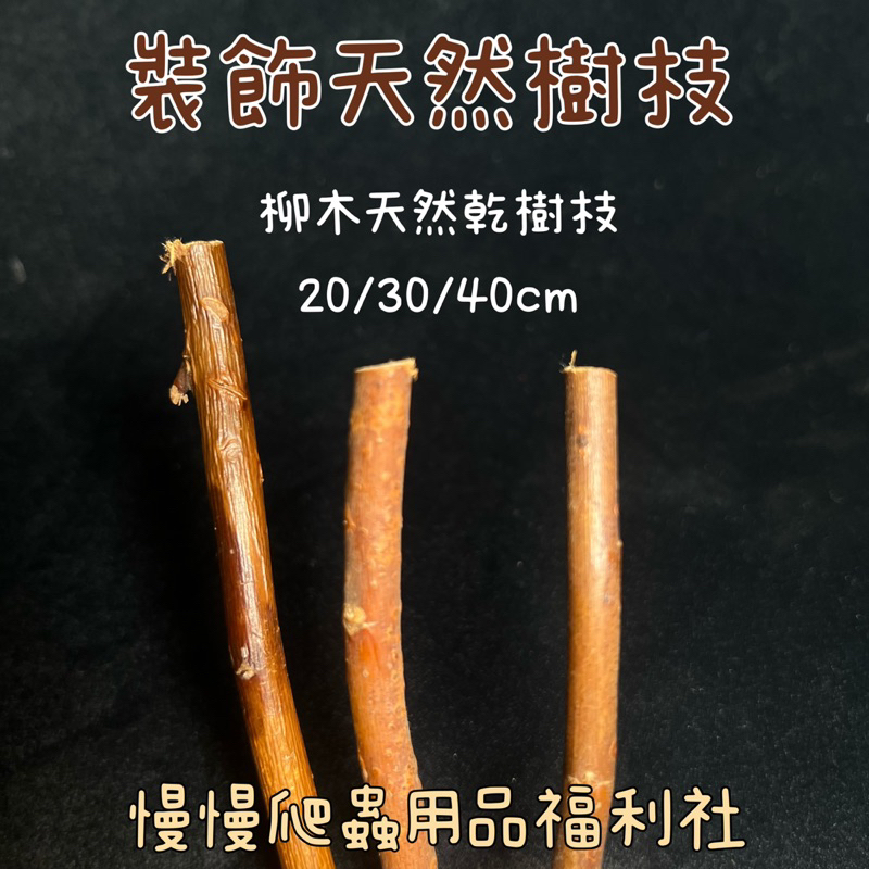 《慢慢爬》裝飾天然樹枝 柳木 乾樹枝 造景 樹棲 攀爬 裝飾 環境 樹枝 爬蟲 守宮 昆蟲 | 蝦皮購物