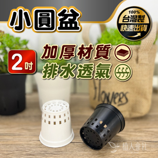 2吋盆- 優惠推薦- 2023年11月| 蝦皮購物台灣