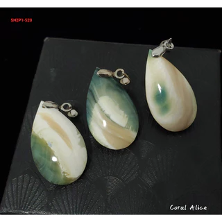 貝置物　3個　夜光貝他 貝置物 3個 夜光貝他