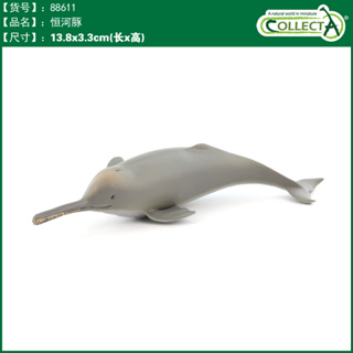 CollectA 英國高擬真模型 恒河豚 獨角鯨 布氏中喙鯨 小抹香鯨 仿真 野生動物 動物模型 公仔