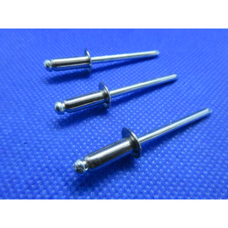 （朝健螺絲）白鐵拉釘(3.2mm)、(4.0mm)、 (4.8mm)台灣製造 不鏽鋼304