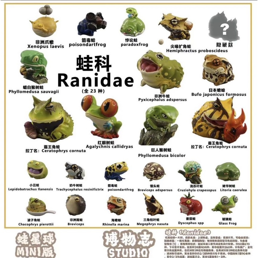 【MOVE】 (絕版) 博物志 蛙星球 MINI 迷你版 青蛙 爬蟲 動物模型 公仔 盒玩 盲盒 隱藏款 特寵 | 蝦皮購物