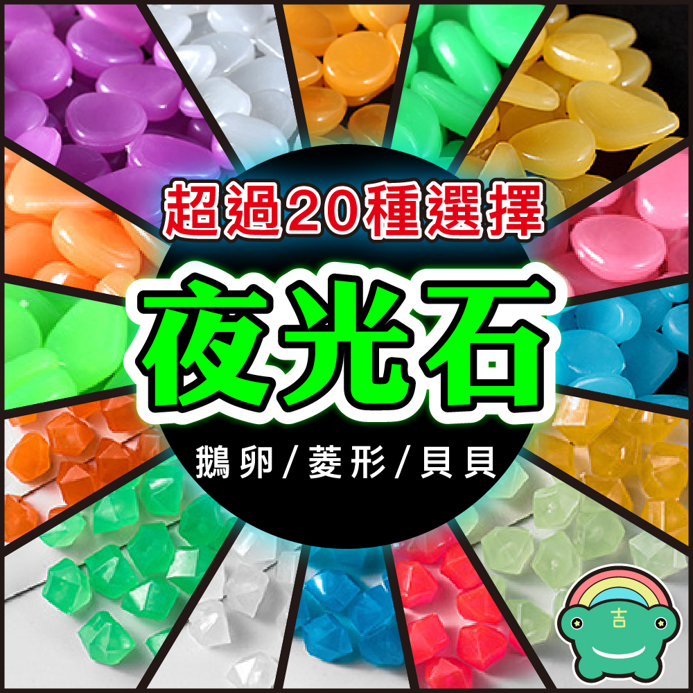 夜光貝- 優惠推薦- 2025年10月| 蝦皮購物台灣