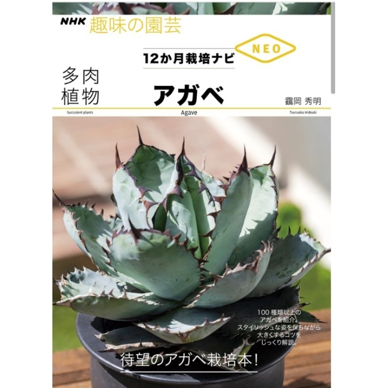 350ページ アガベ写真集Agaves Species 2000種類以上掲載 - 洋書