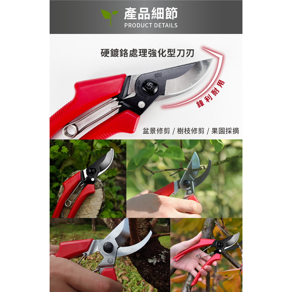 【植人會社】台灣現貨- 日本原裝進口 ARS 多功能剪刀 園藝花剪 花藝剪 日本工藝 白鐵 花剪 剪錠鋏 剪刀 樹枝剪 | 蝦皮購物
