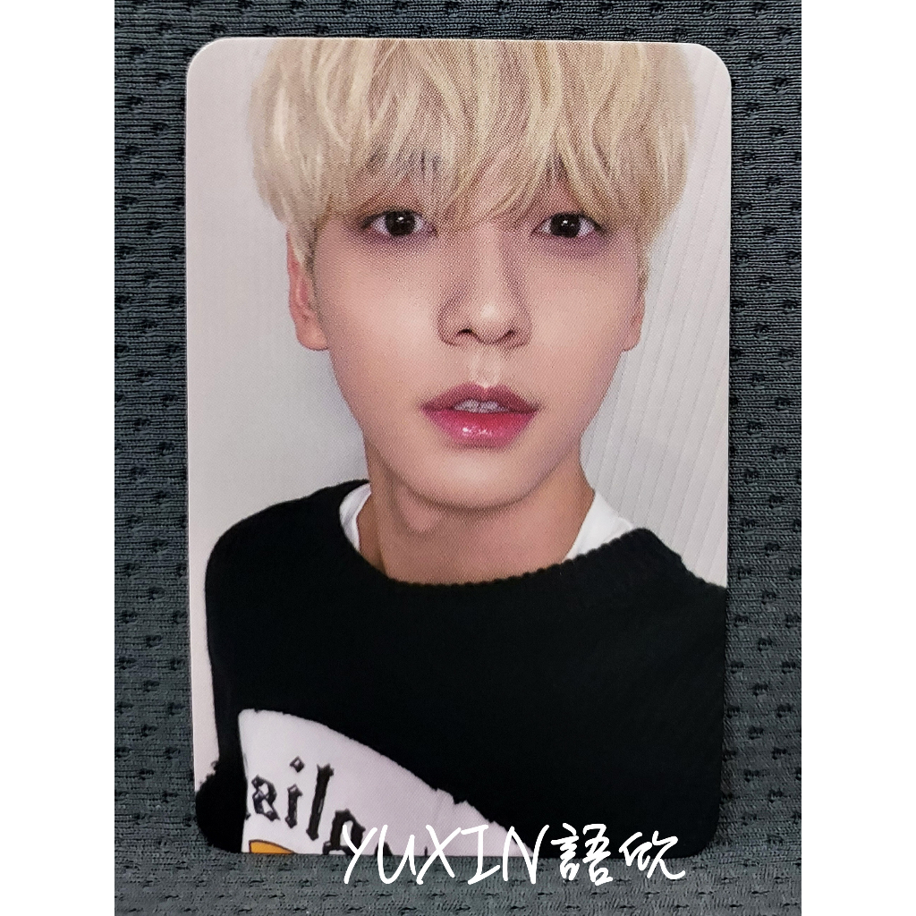 Txt Dmm Dear My Muse Bonus Trading Card Set Of 5 | eBay