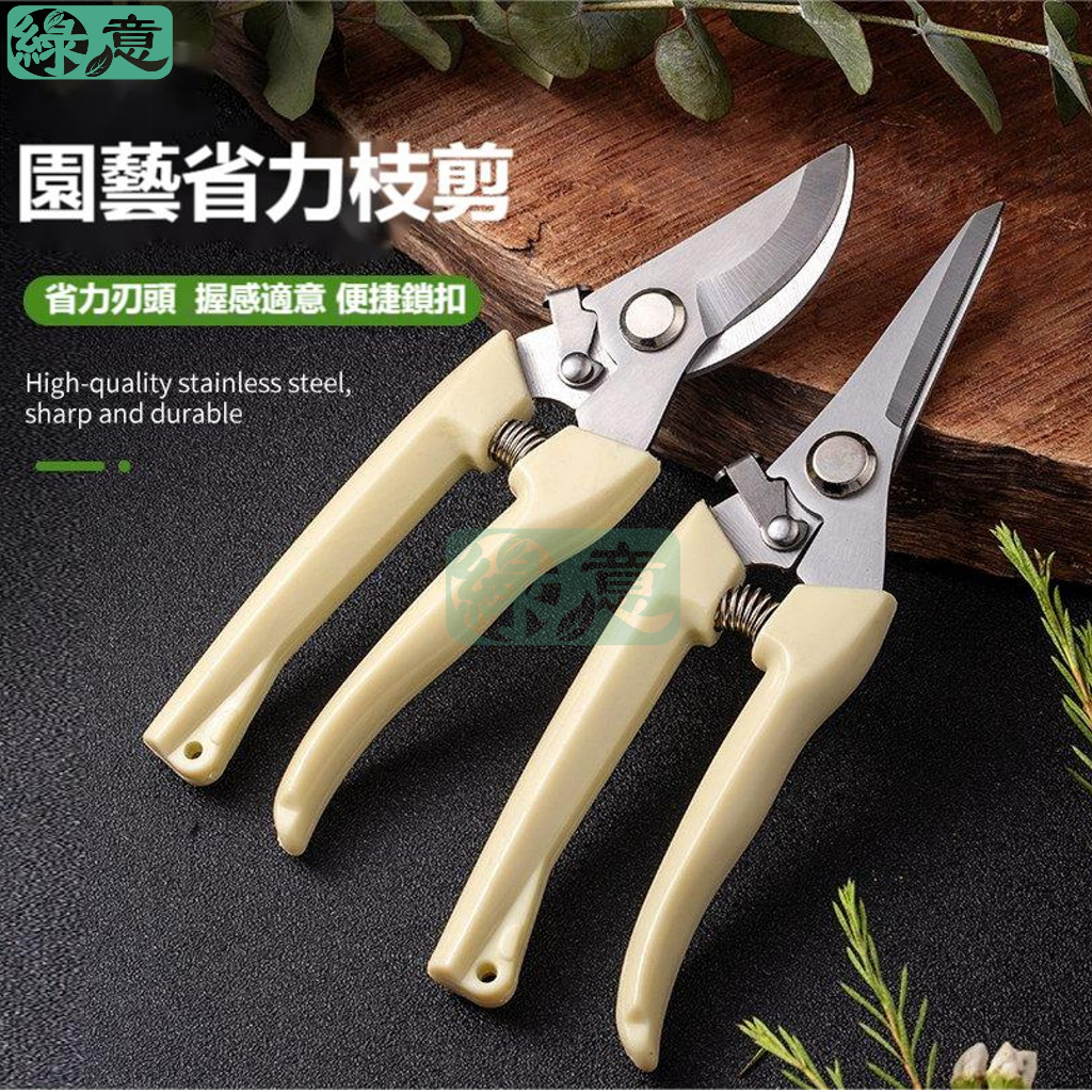 [綠意]現貨 園藝剪刀 花藝剪刀 剪刀 修枝剪刀 綠植剪刀 盆栽剪刀 農用剪刀 安全剪刀 粗枝剪刀 果枝剪刀 修枝 | 蝦皮購物