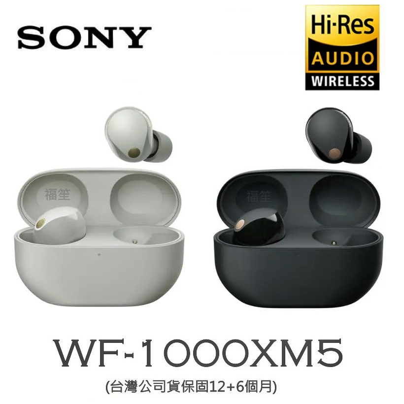 SONY WF-1000XM5【送矽膠保護套】真無線降噪藍牙耳機(台灣公司貨保固18