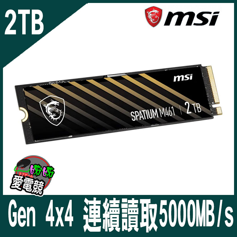 MSI微星SPATIUM M461 2TB/1TB PCIe 4.0 NVMe M.2 SSD | 蝦皮購物
