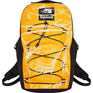 Supreme and discount north face backpack