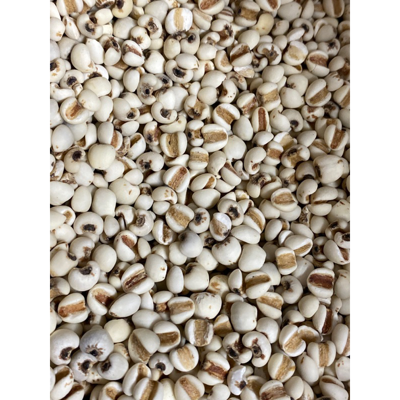 紅薏仁/大薏仁/降價回饋/糙薏仁/糙薏米/糯薏仁/紅薏米/新鮮薏仁/五穀雜糧/興妍誠五穀健康米糧 | 蝦皮購物