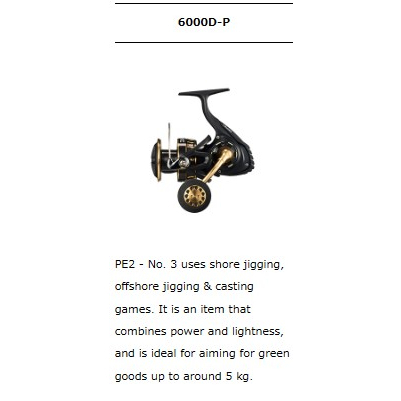 Daiwa 23'BG SW 各種型號4000D/5000D/6000D/8000/10000/14000