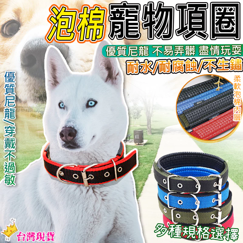 脖套 狗狗頸圈 泡棉項圈 中大型犬通用