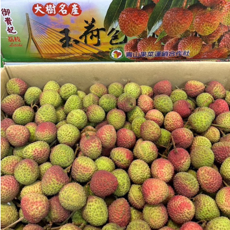 5-6月【玉荷包.桂味荔枝還有.竹葉黑.糯米荔枝】屏東 恆春高雄大樹 爆漿級 高品質果實皮薄果肉豐厚肉質白嫩Q彈果核小 | 蝦皮購物