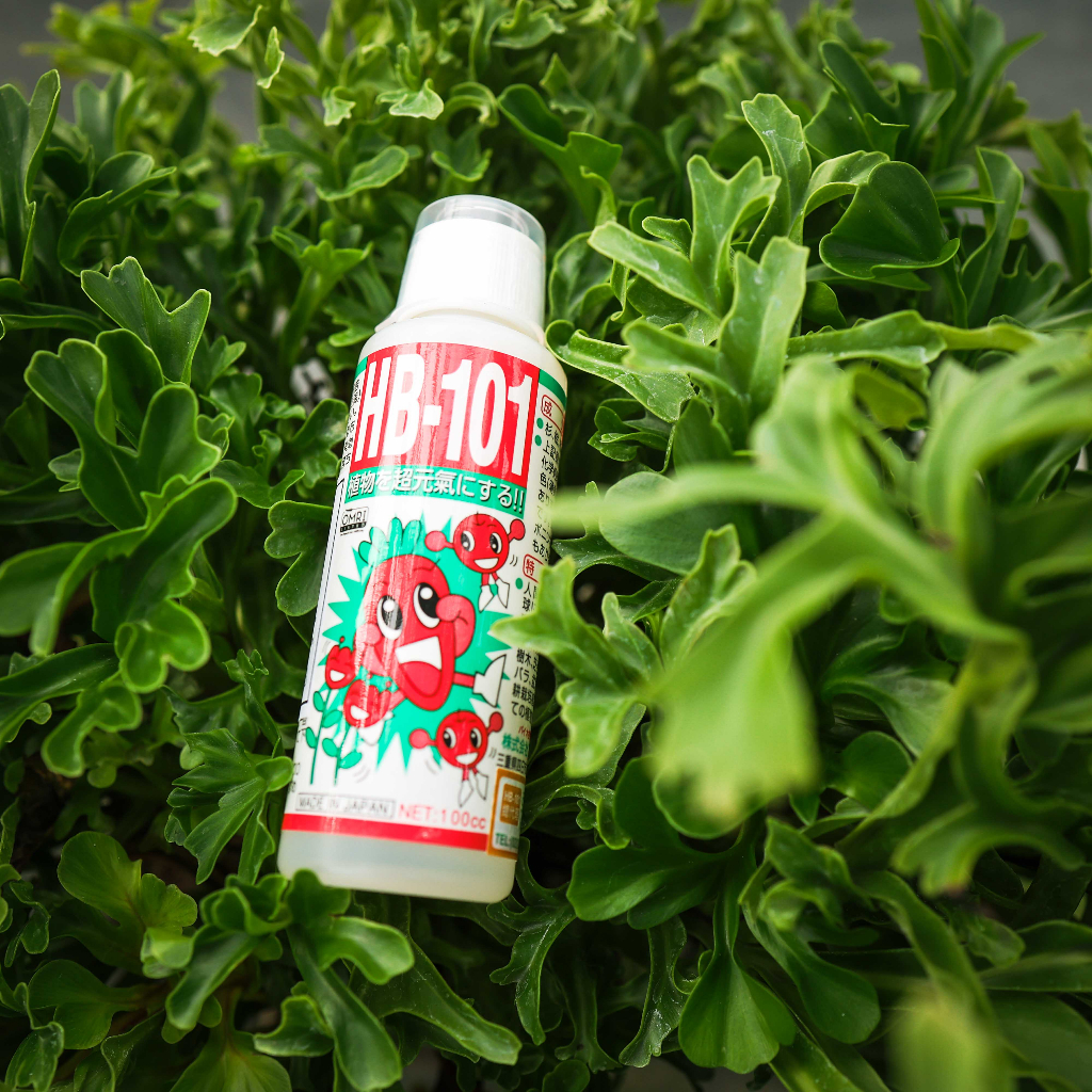HB-101 天然植物活力液日本原裝純天然植物植物生長植物健康無副作用