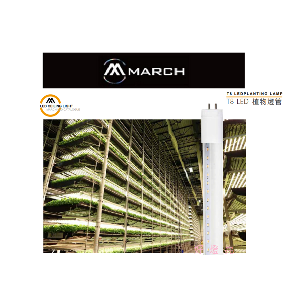 好燈亮~MARCH LED 植物燈管 日光燈管 T8 2尺 4尺 省電 有效促進植物生長 取下啟動器可用 | 蝦皮購物