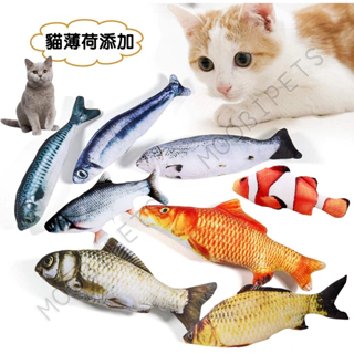 cat fishing - 優惠推薦- 2024年4月