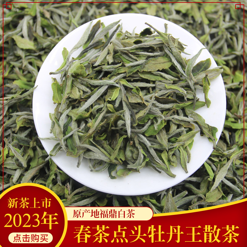 正宗【高擋】福鼎白茶白牡丹王茶葉特級一芽一葉2025高山首采牡丹毫香