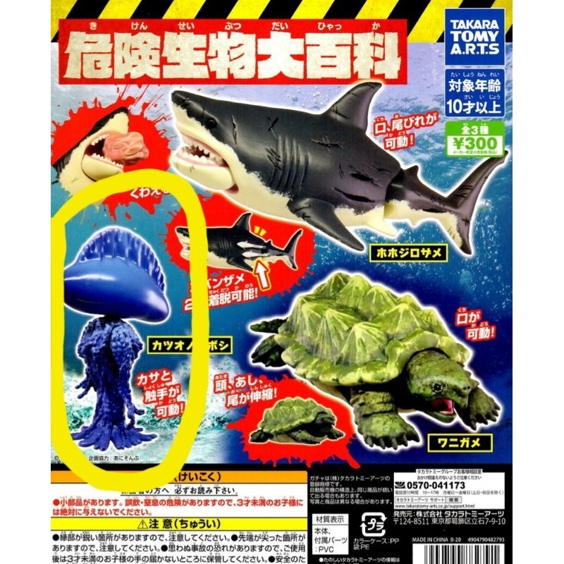 カメのすべて : 世界のカメ124種と上手なカメの飼い方 - 趣味