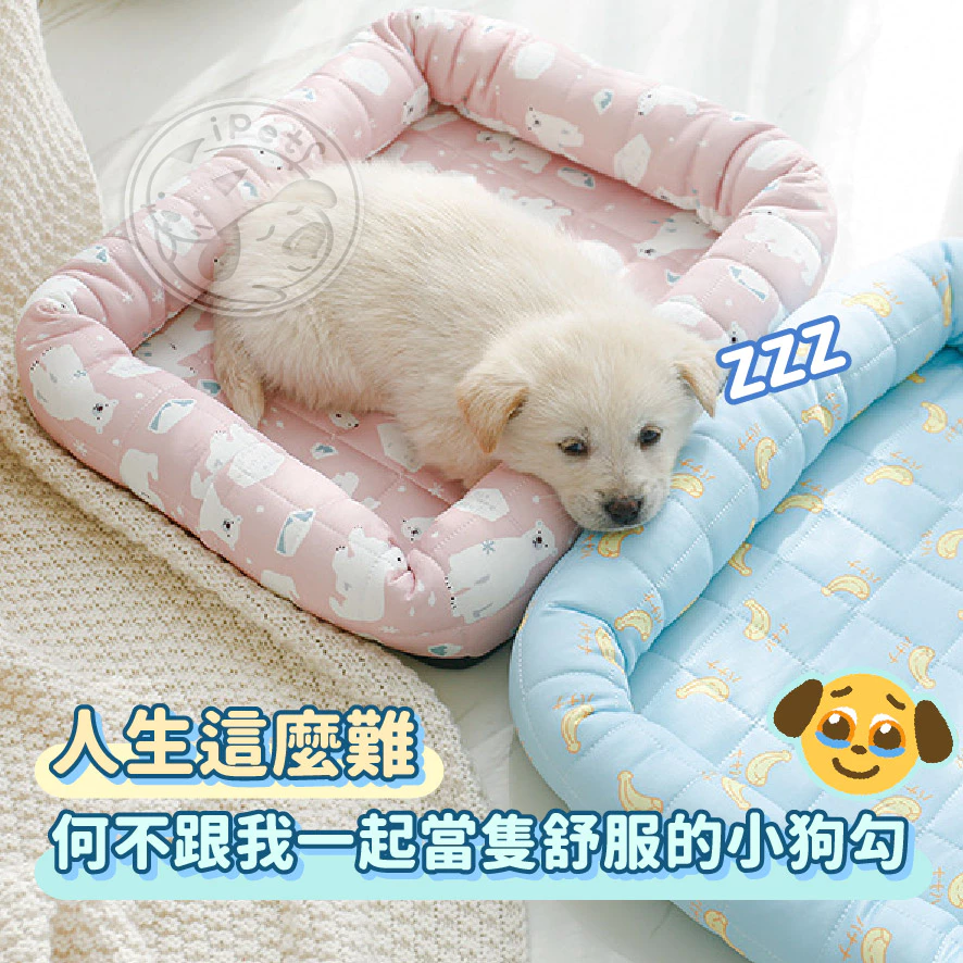 【寵星球】冰絲涼感寵物窩 寵物涼感窩 狗窩 貓狗床