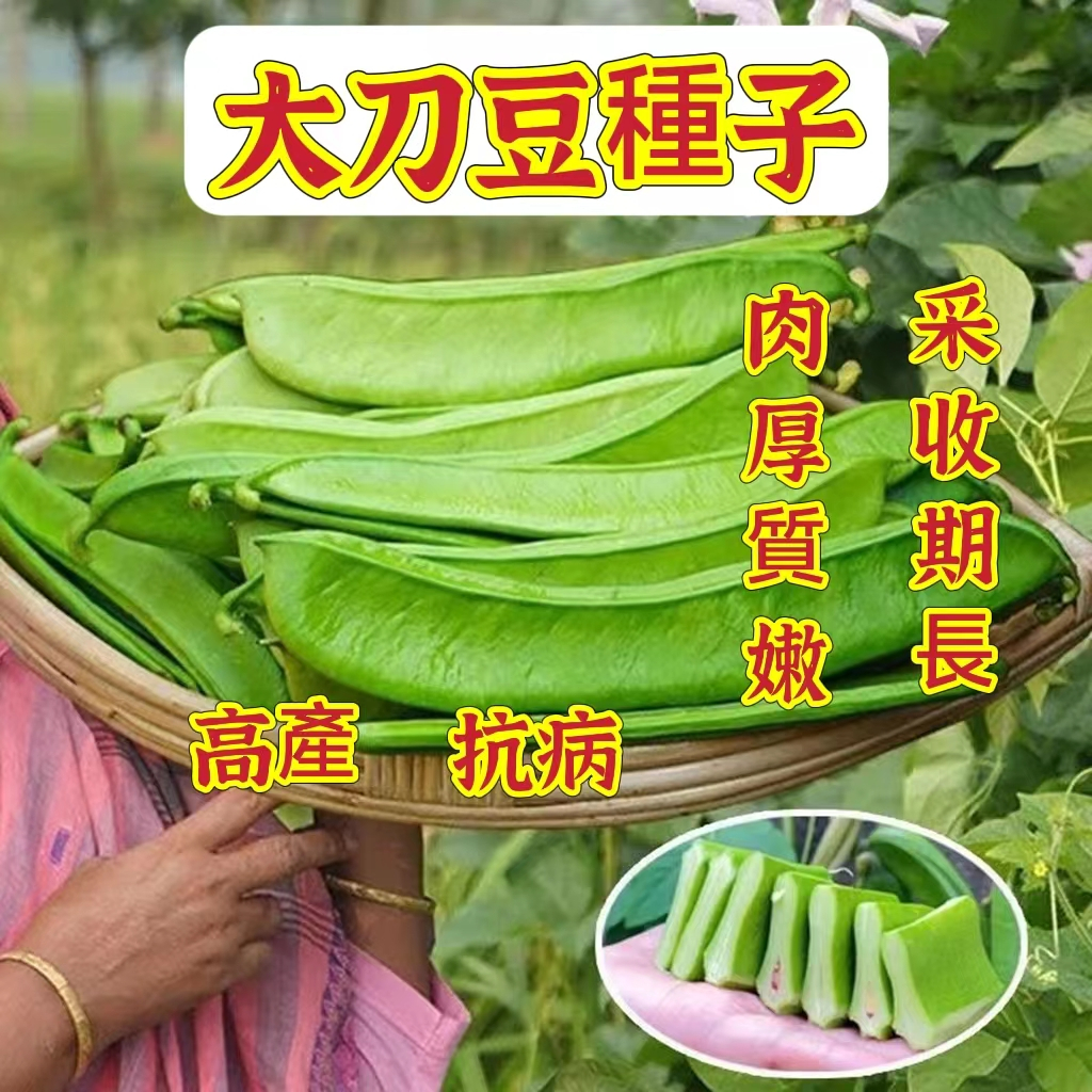 青刀豆脆片-漳州明德食品有限公司-产品名录-食品展|国际食品展|SIAL 国际食品展（上海）
