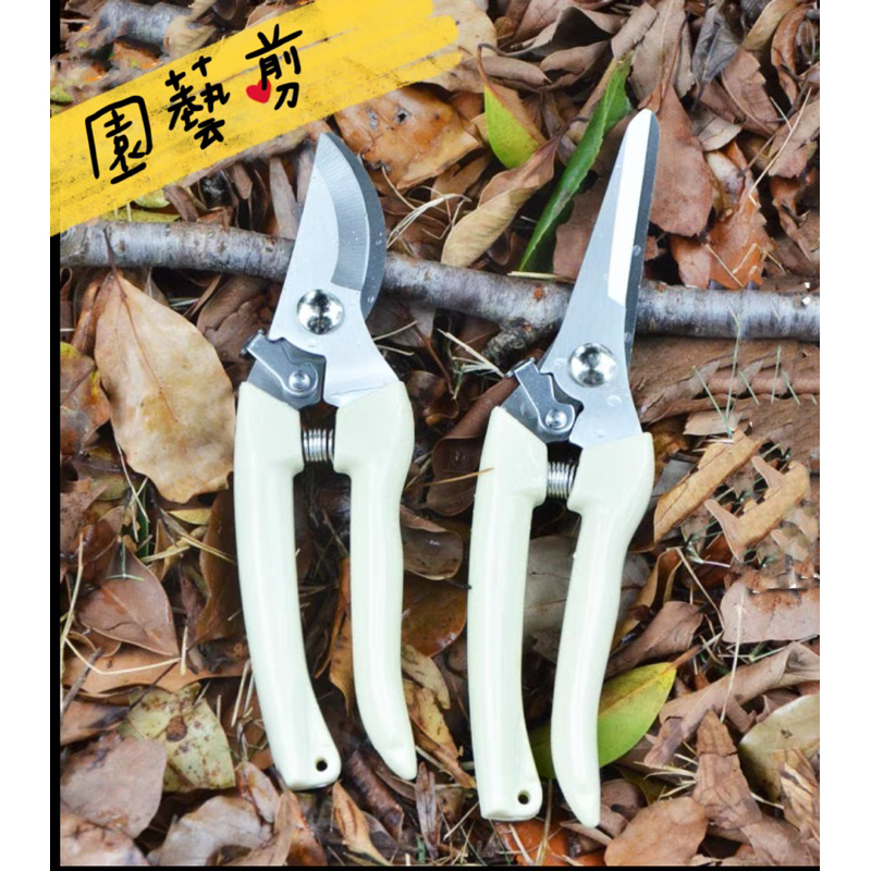 《台灣現貨》不銹鋼園藝剪刀 花枝剪 樹枝剪 園林剪 修枝剪 果樹剪 | 蝦皮購物