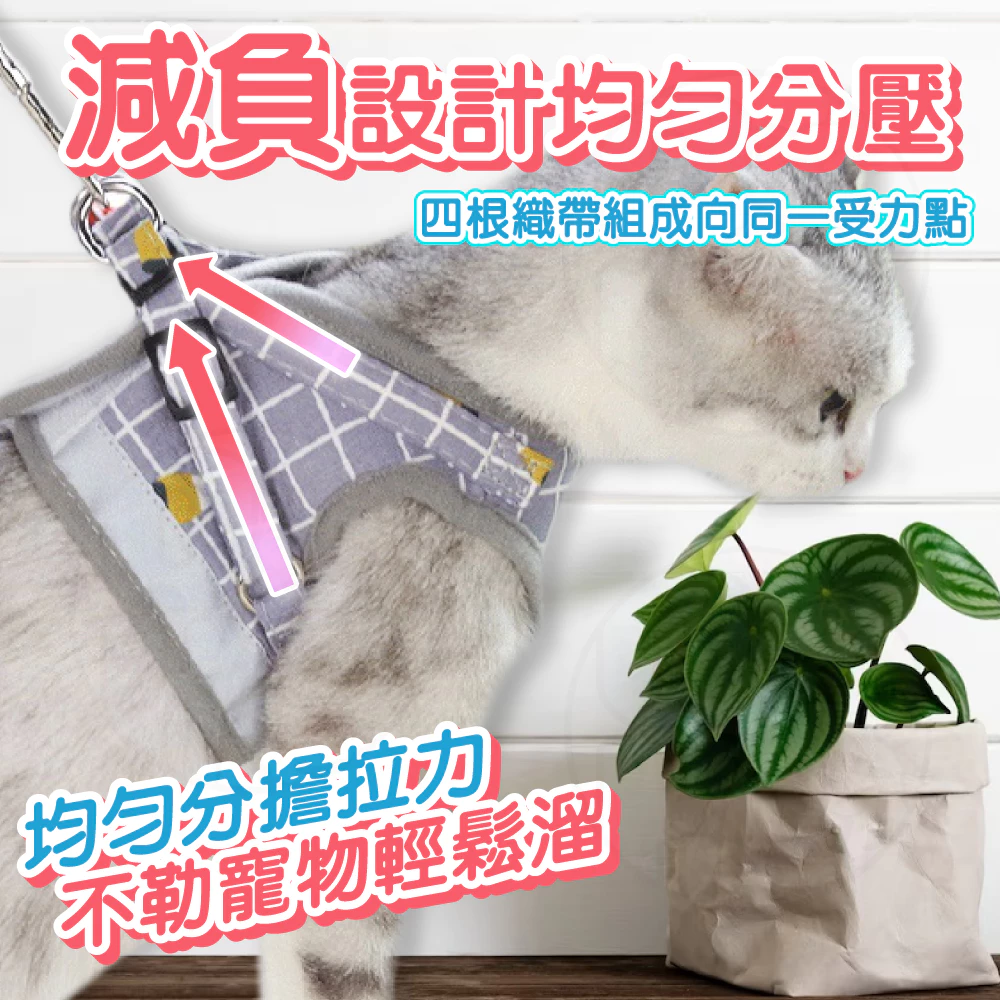 狗狗胸背帶推薦:6款超實用防暴衝背帶分析與評測! 狗狗胸背帶推薦:6款超實用防暴衝背帶分析與評測!