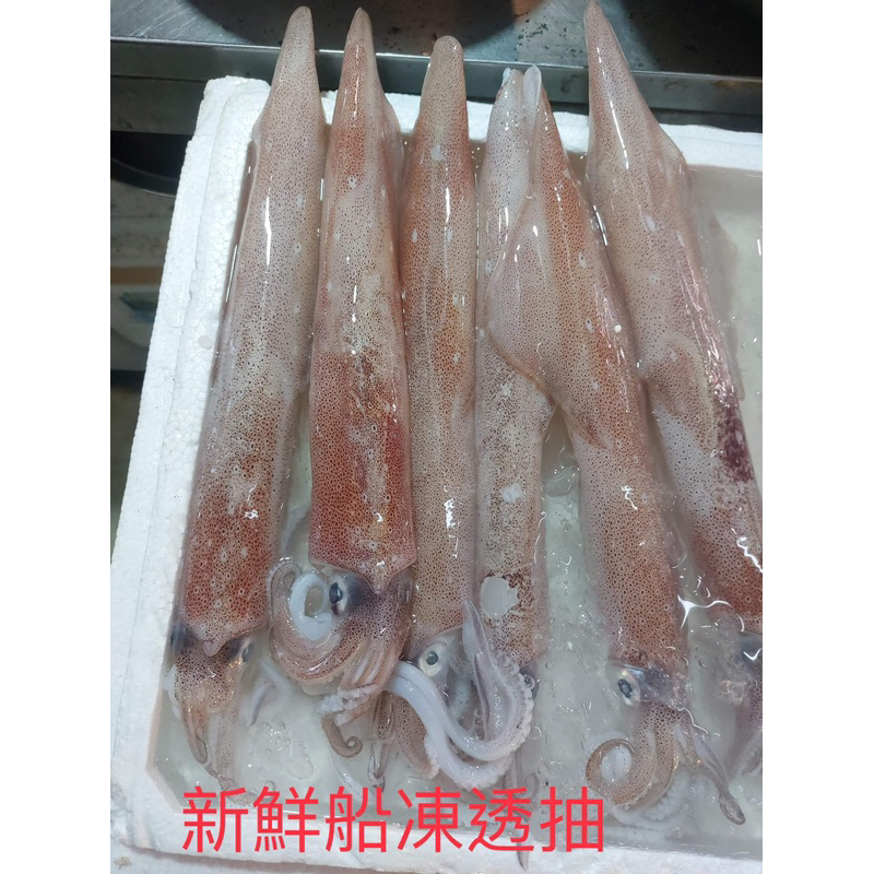 船凍新鮮透抽～鮮脆的口感，煮了也不縮水的超鮮海味（一台斤） | 蝦皮購物