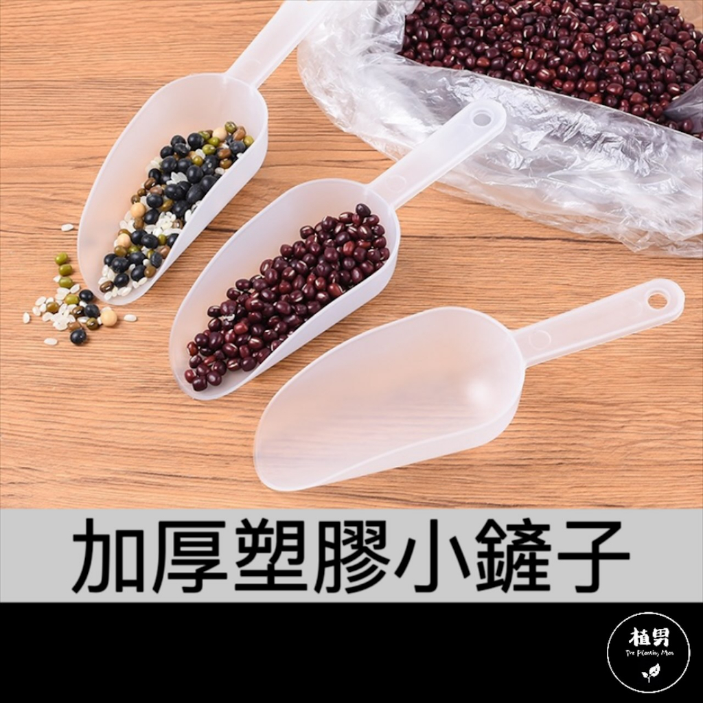 【植男】塑膠小鏟子｜園藝 鏟子 鬆土 植物鏟 園藝DIY 栽種 園藝器具 種花神器 多肉工具 鏟土勺 桶鏟 冰鏟 | 蝦皮購物