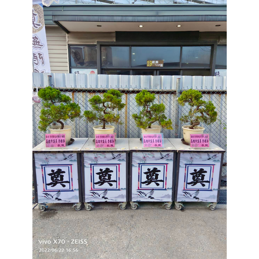 台中松柏 中部松柏服務 LED治喪松柏擺飾 一個價錢 放到圓滿 松柏植栽 靈獅 罐頭塔 米塔 苗栗以南都有服務 請先聊聊 | 蝦皮購物